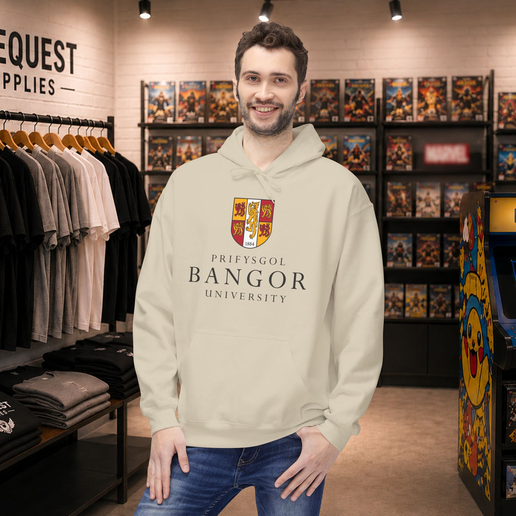 Bangor University hoodie - Only front print