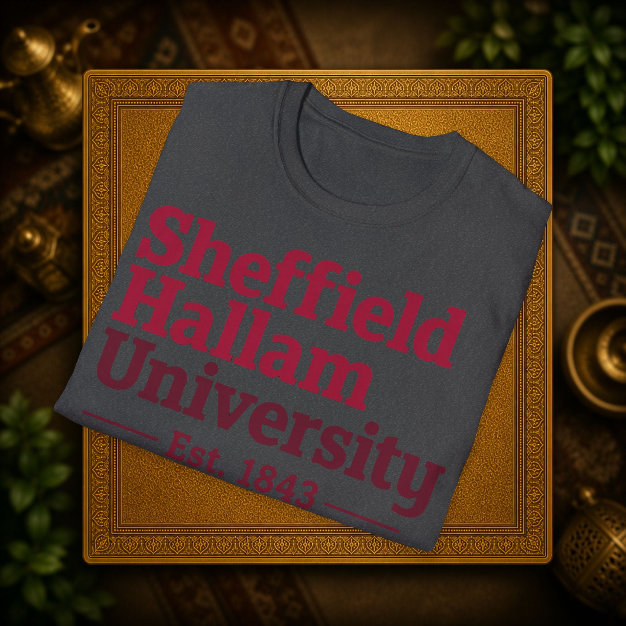 Shieffield Hallam University United kingdom| student| UWE Bristol  T-Shirt| casual tee