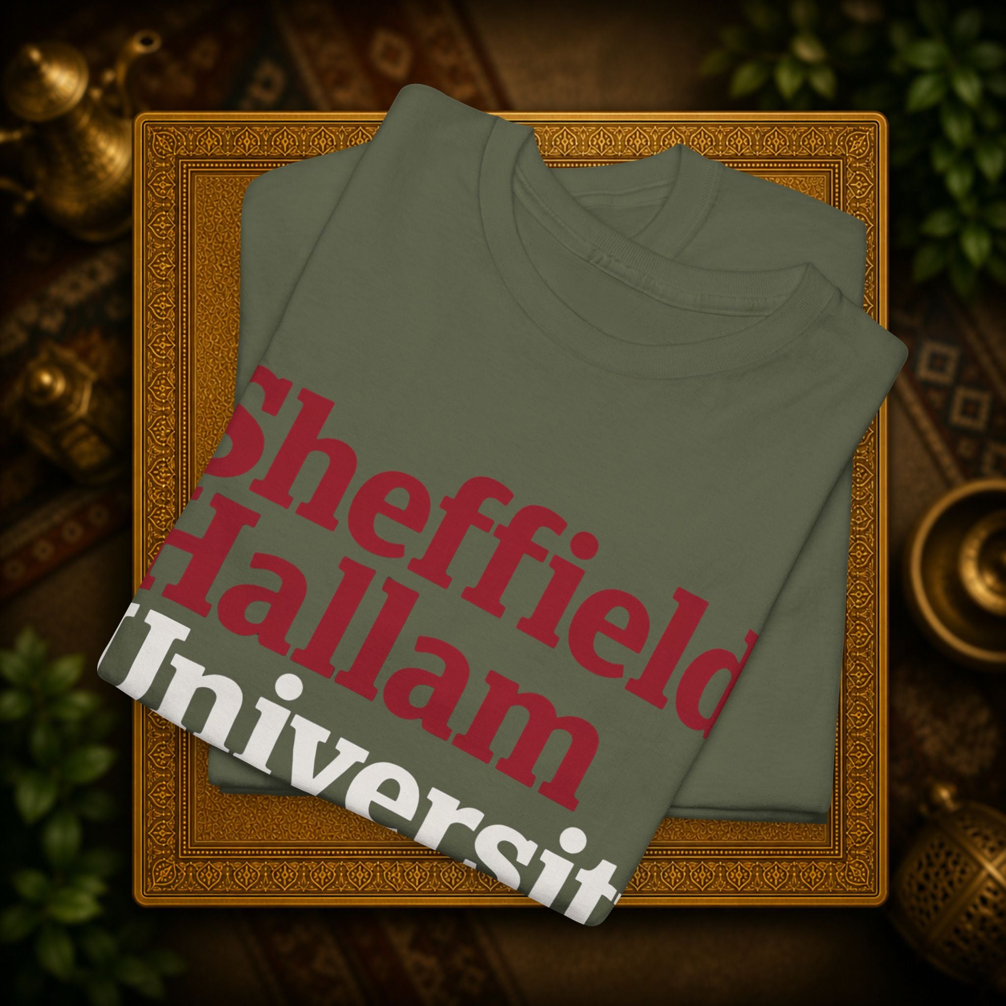 Sheffield Hallam University t-shirt