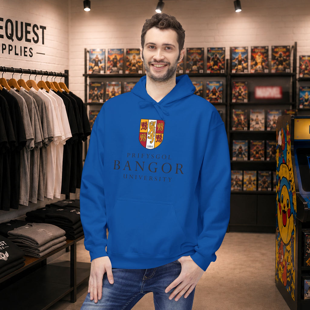 Bangor University hoodie - Only front print