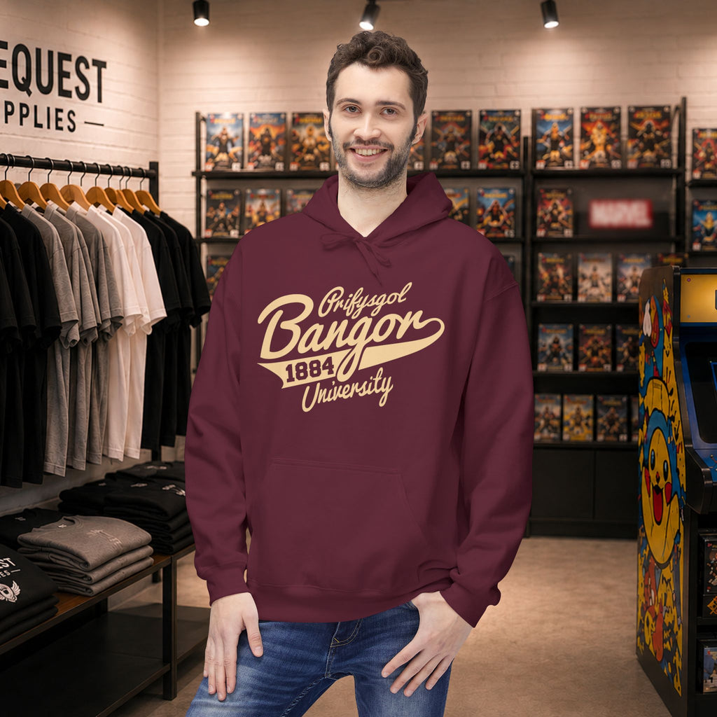 Bangor University hoodie in Beige print