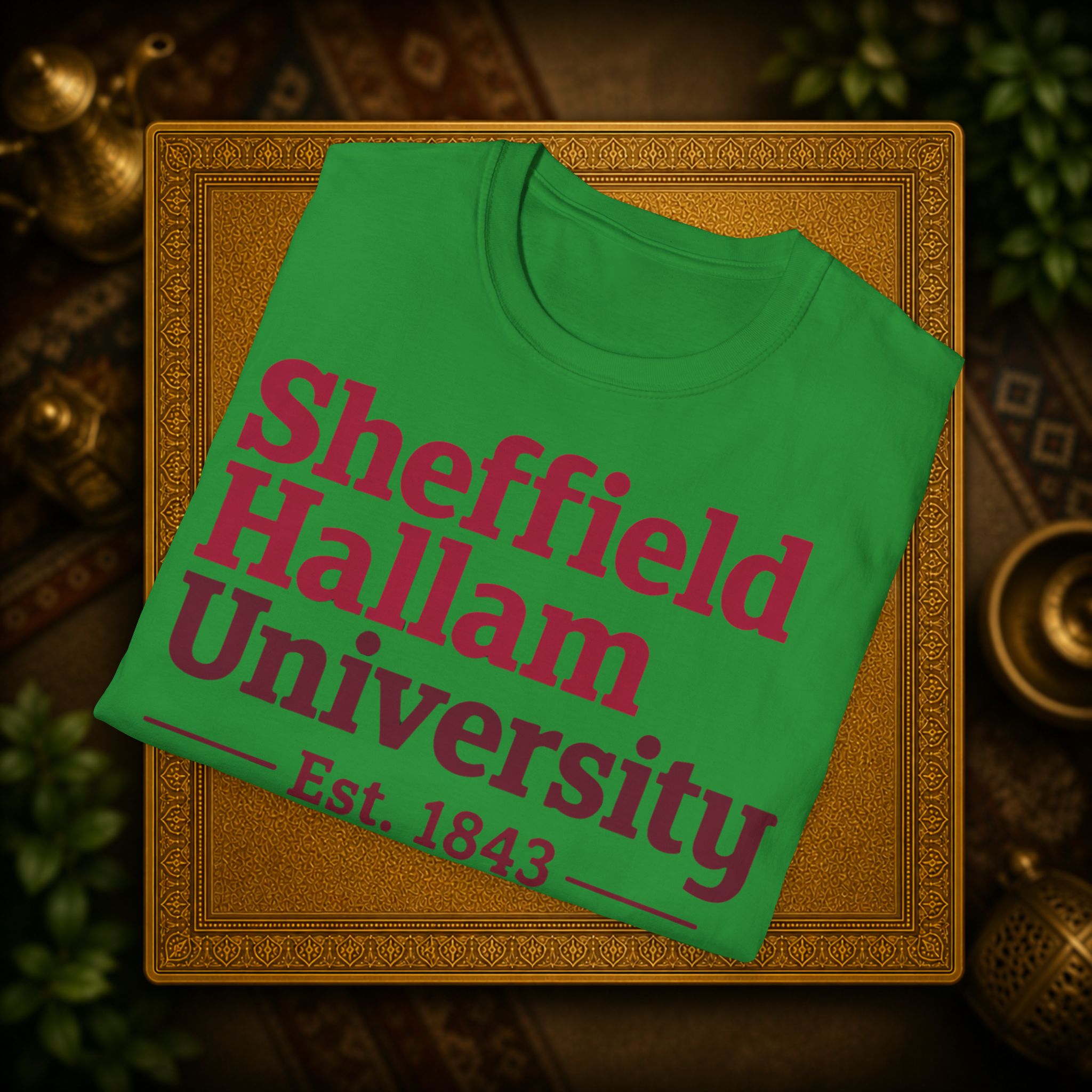 Shieffield Hallam University United kingdom| student| UWE Bristol  T-Shirt| casual tee