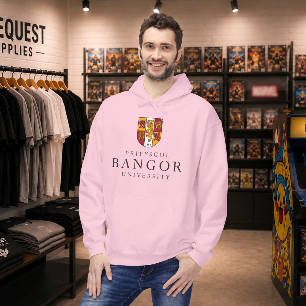 Bangor University hoodie - Only front print