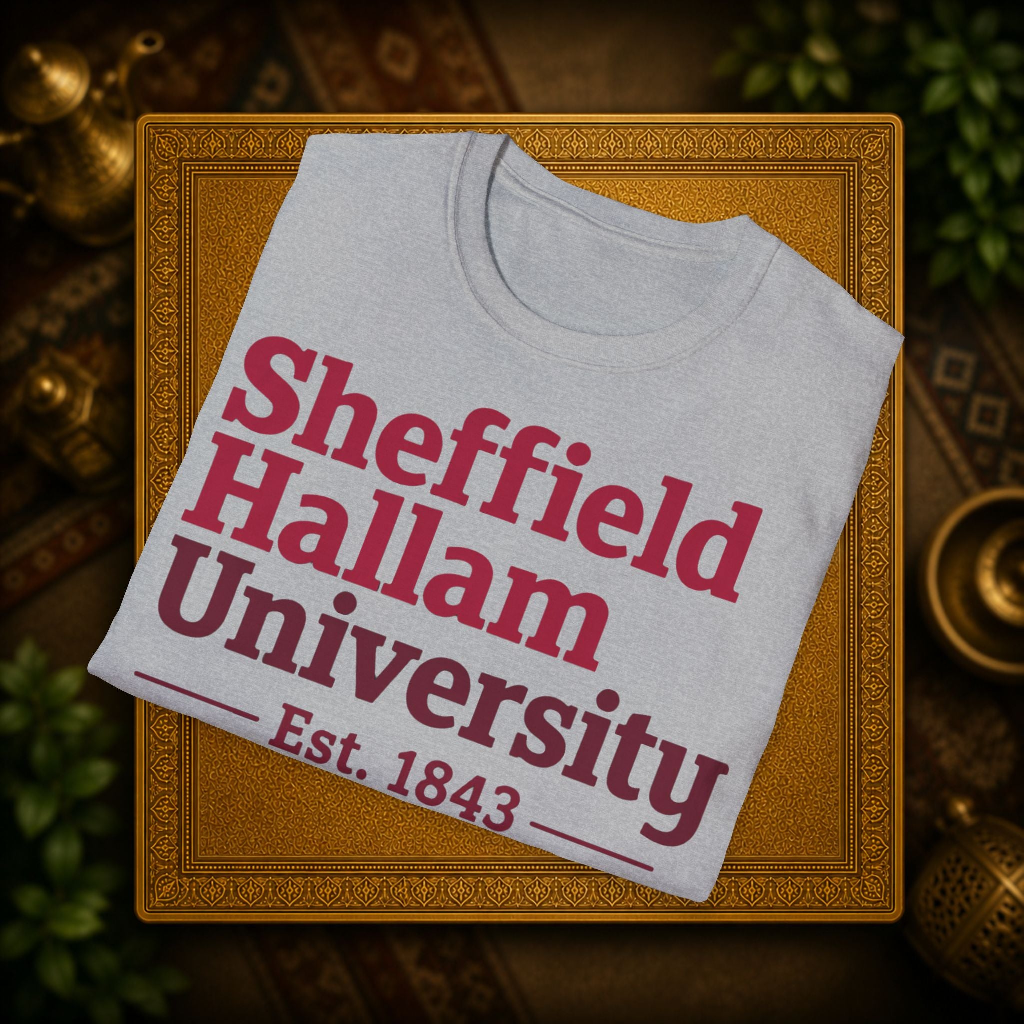 Shieffield Hallam University United kingdom| student| UWE Bristol  T-Shirt| casual tee