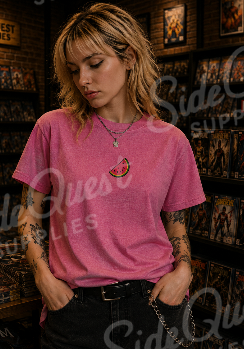 Palestine Watermelon Slice embroidery Tee — Minimal comfy and cosy Summer Fruit Graphic T-Shirt