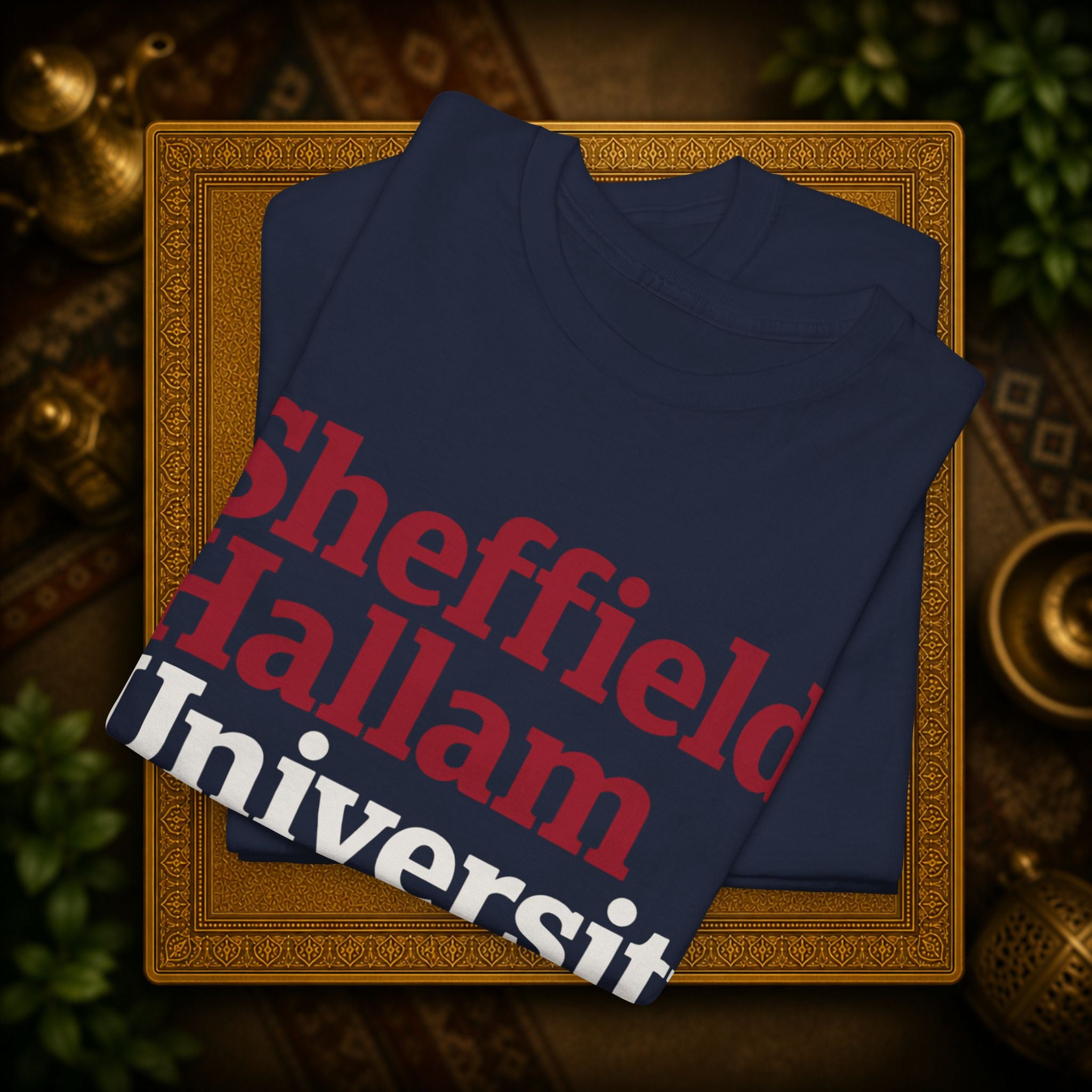Sheffield Hallam University t-shirt