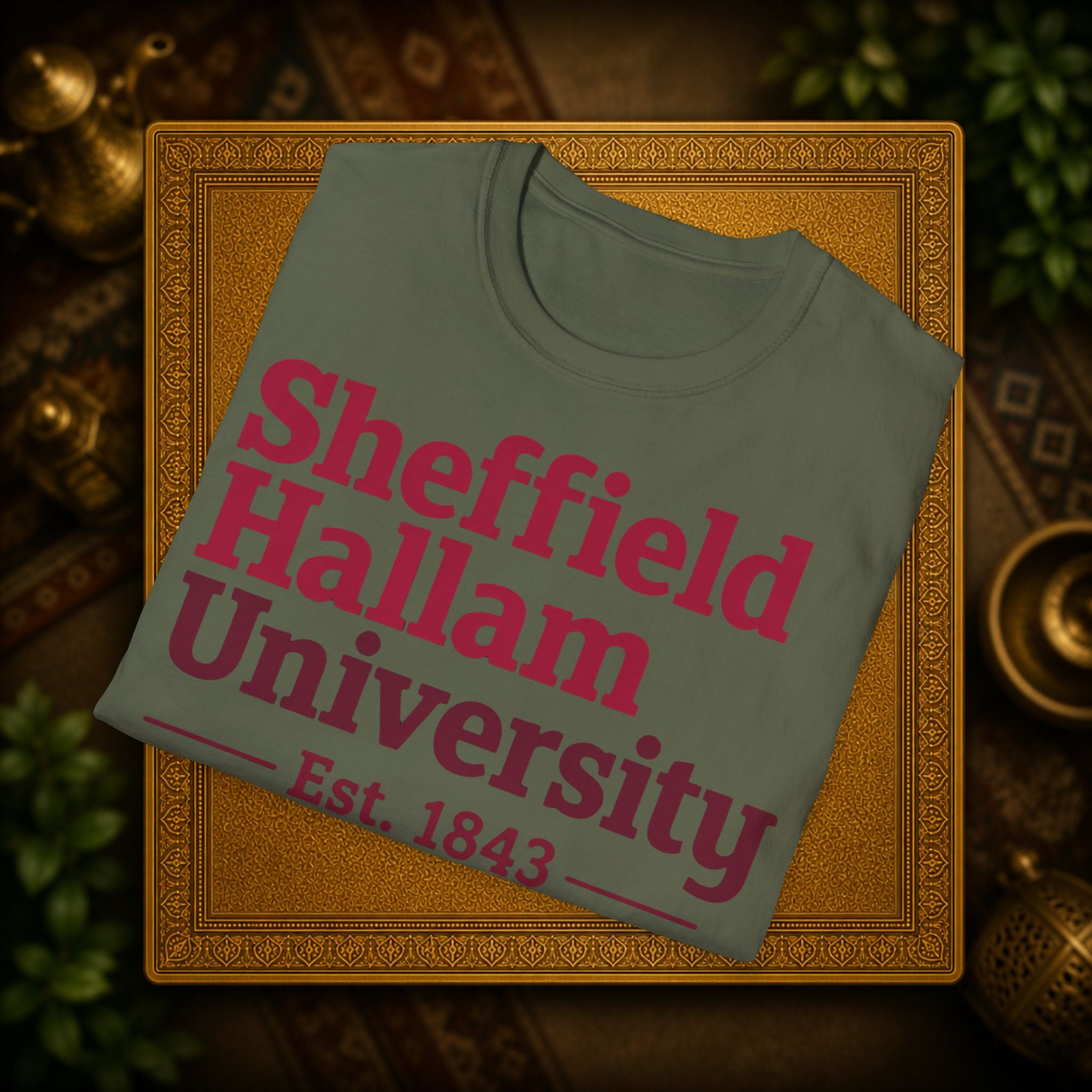 Shieffield Hallam University United kingdom| student| UWE Bristol  T-Shirt| casual tee