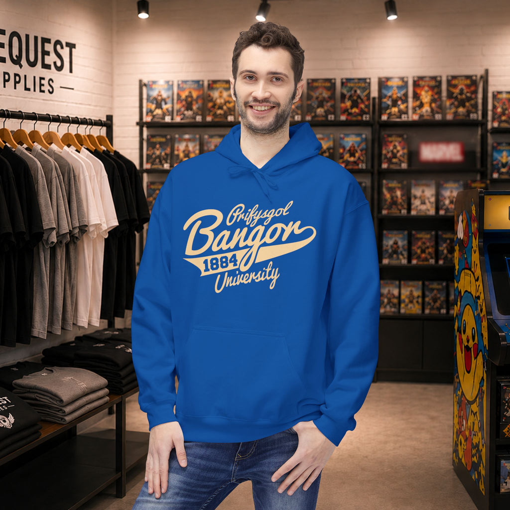 Bangor University hoodie in Beige print