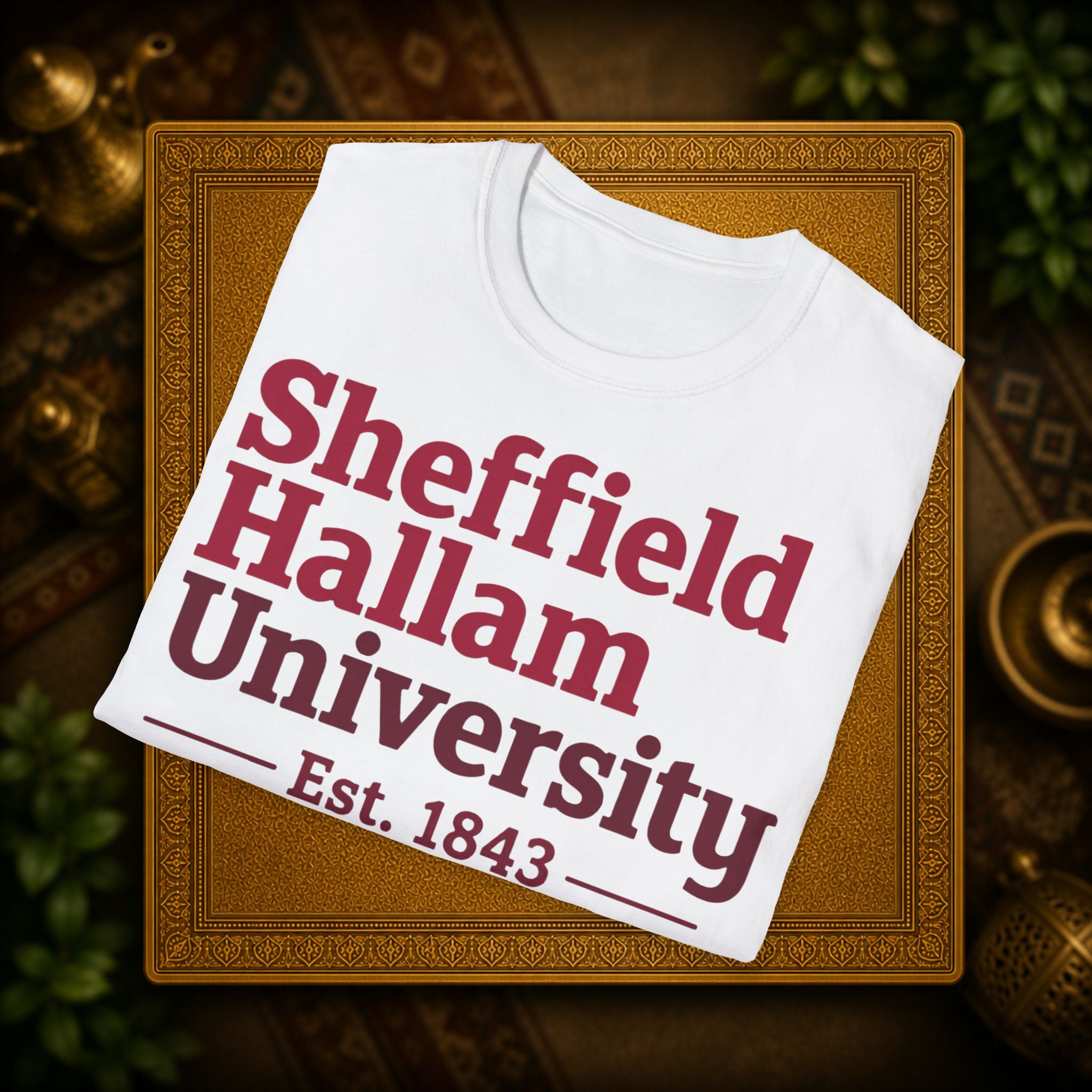Shieffield Hallam University United kingdom| student| UWE Bristol  T-Shirt| casual tee