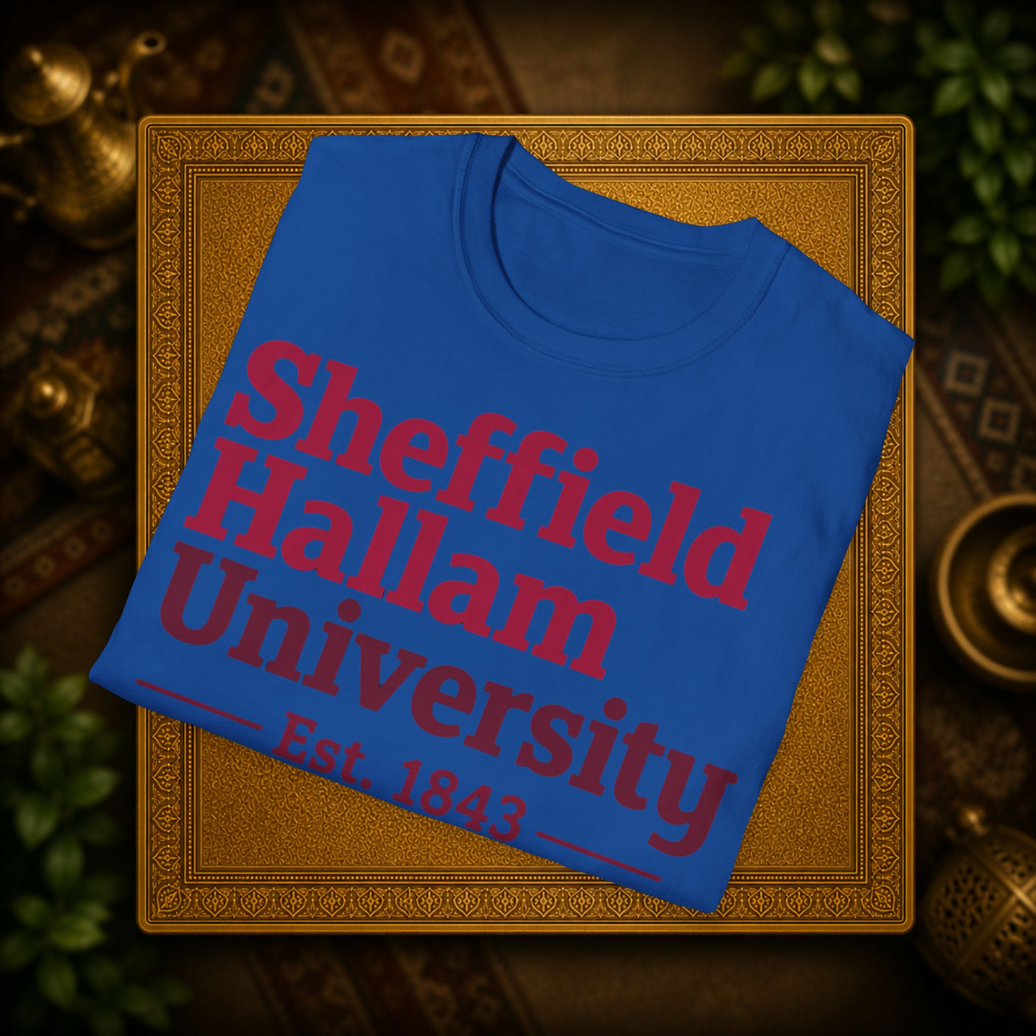 Shieffield Hallam University United kingdom| student| UWE Bristol  T-Shirt| casual tee