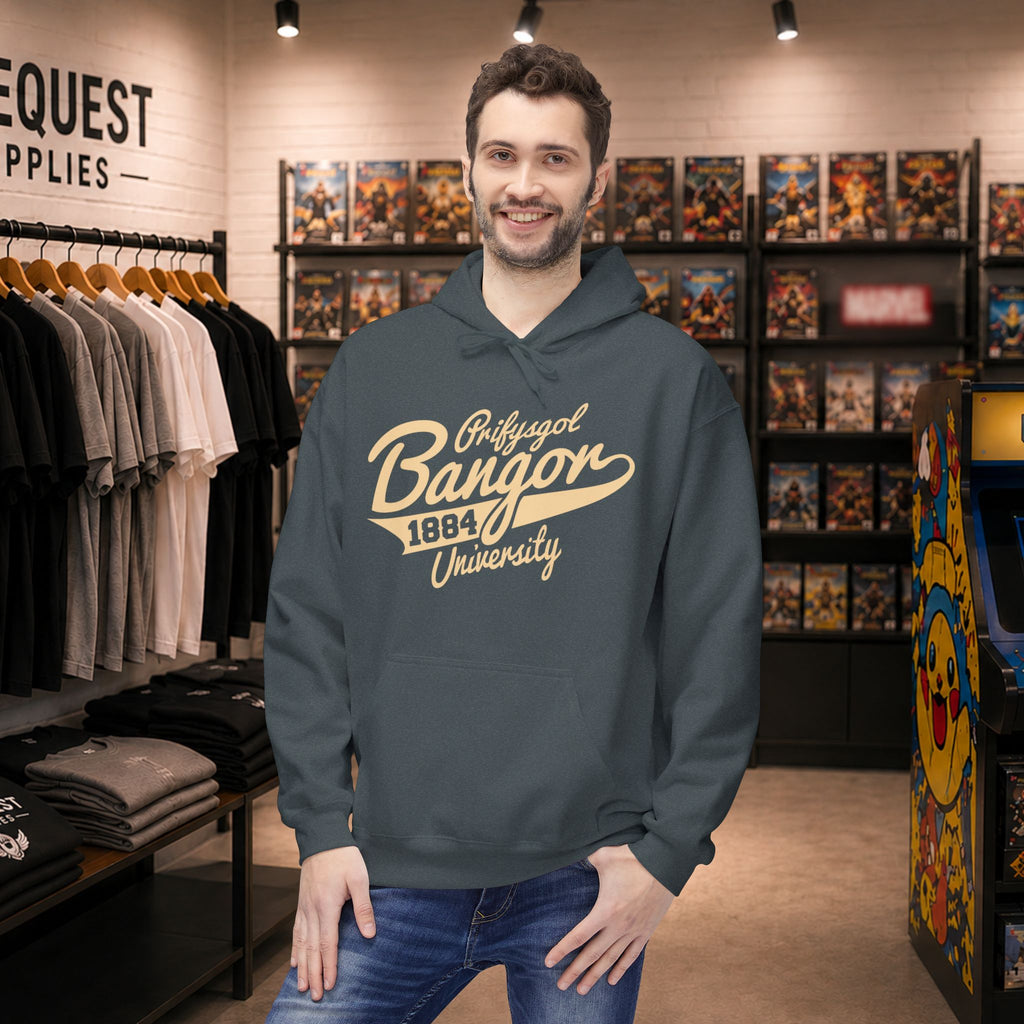 Bangor University hoodie in Beige print