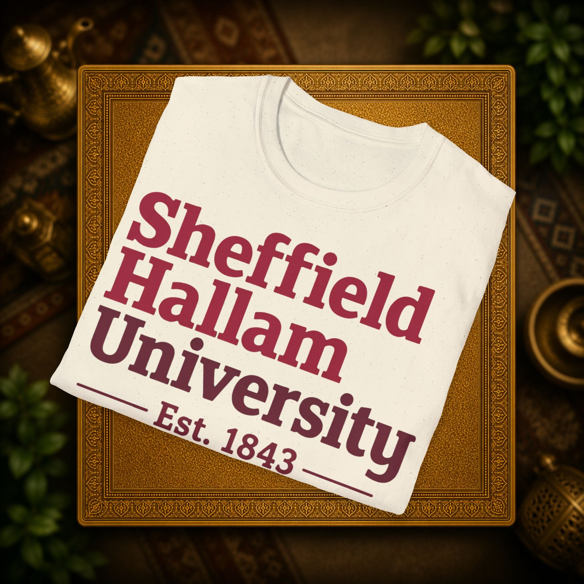 Shieffield Hallam University United kingdom| student| UWE Bristol  T-Shirt| casual tee