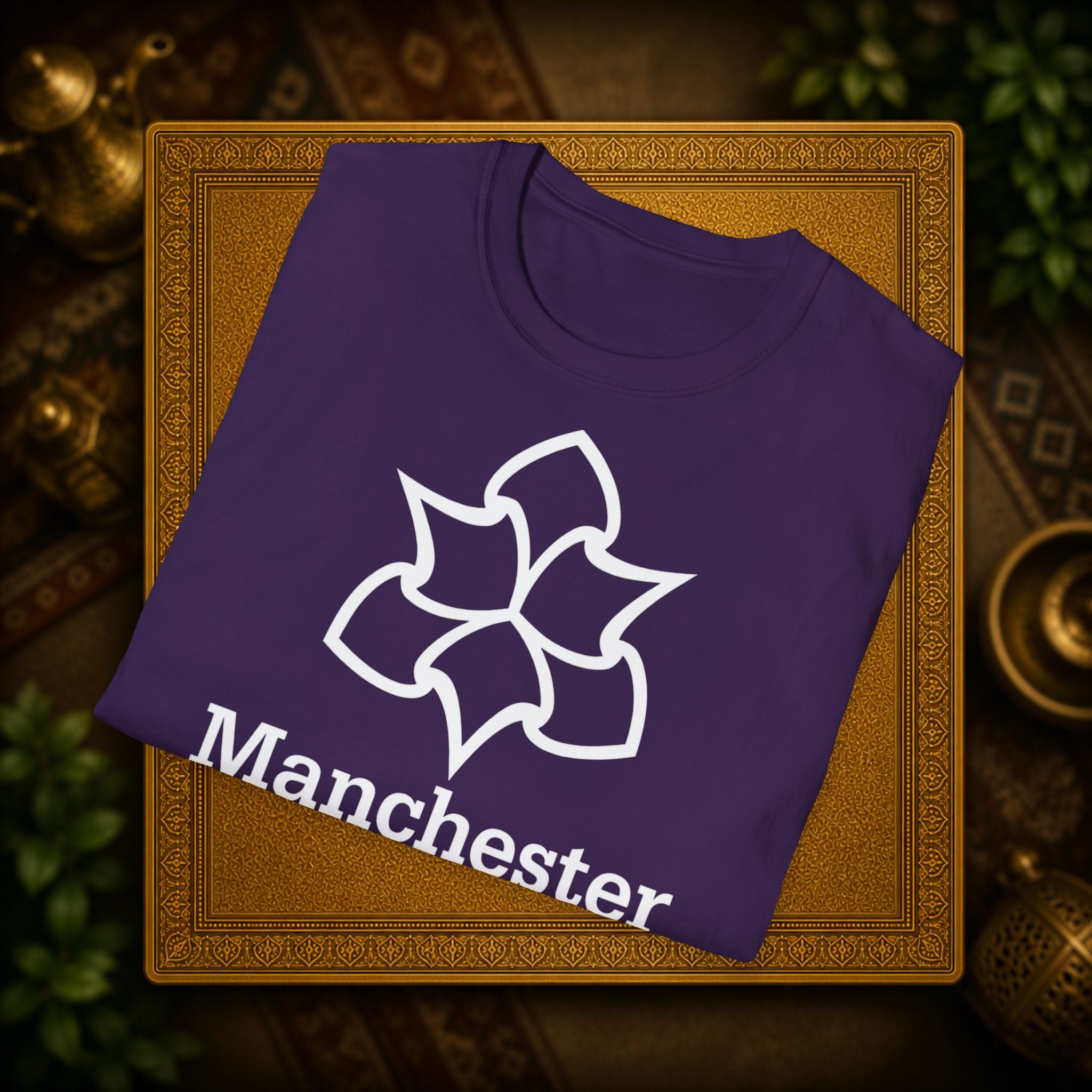 Manchester Metropolitan University MMU