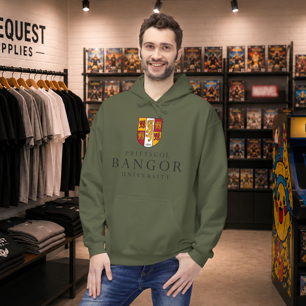 Bangor University hoodie | Campus Apparel, College Sweatshirt