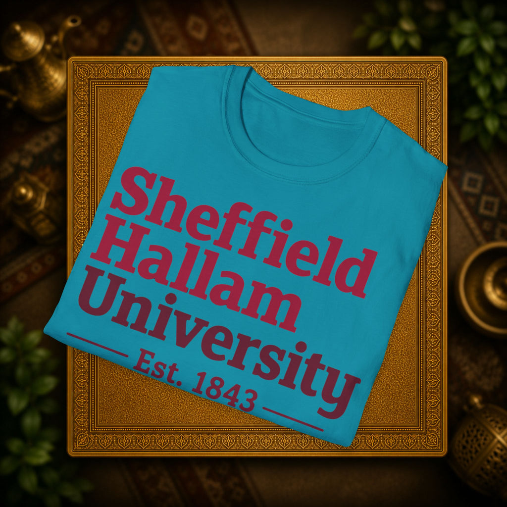 Shieffield Hallam University United kingdom| student| UWE Bristol  T-Shirt| casual tee