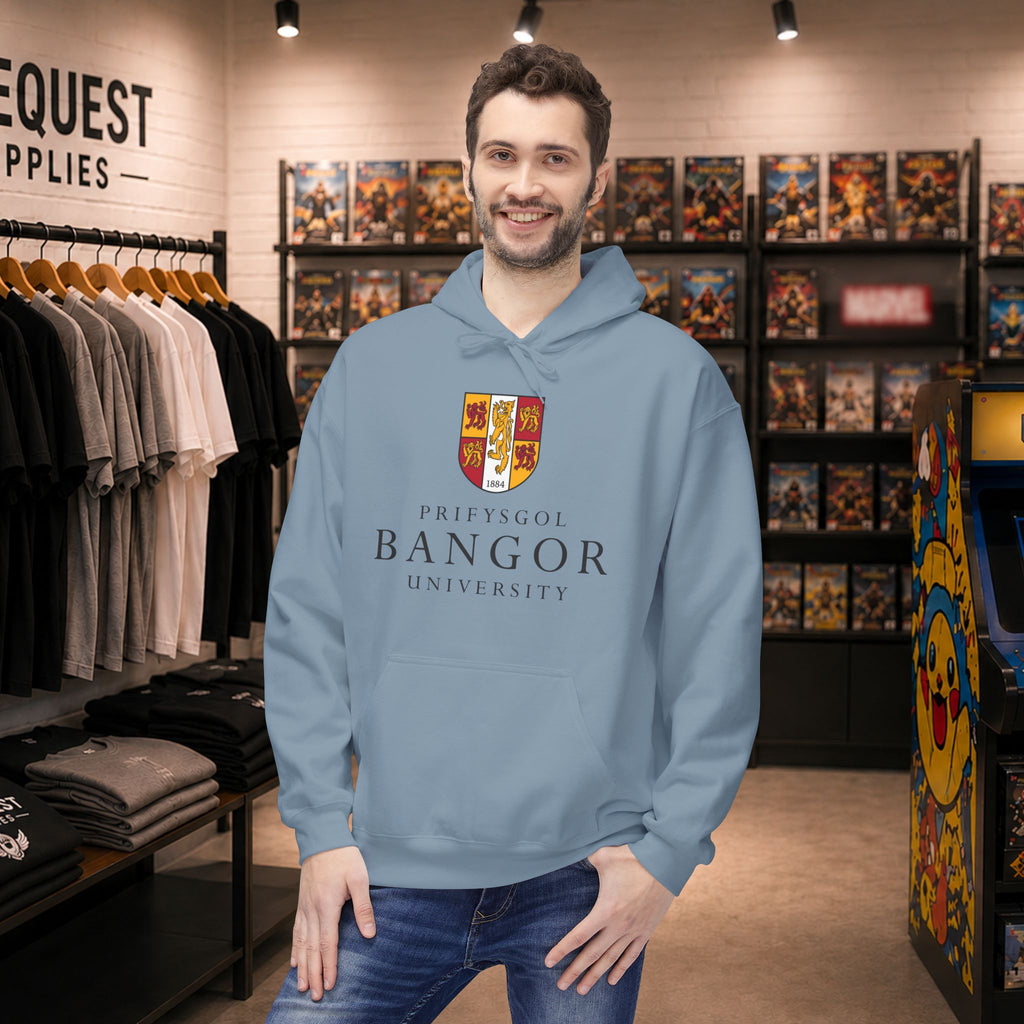 Bangor University hoodie - Only front print